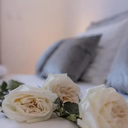 Fortuna Appartement Split