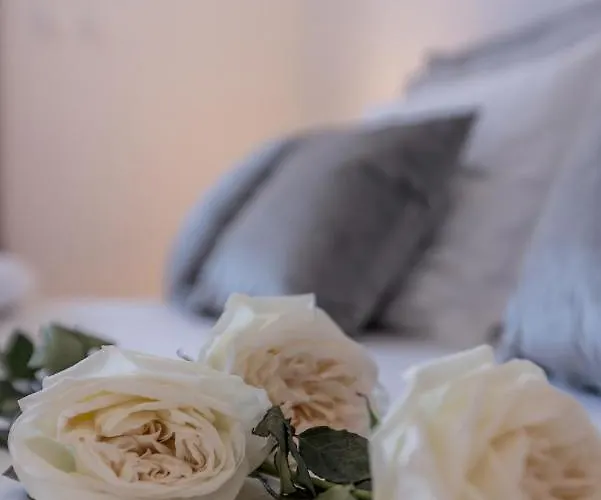 Fortuna 公寓 斯普利特