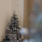 Apartamento Fortuna *